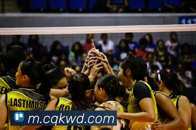 问鼎娱乐平台生态图