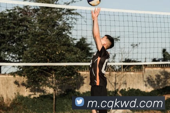 问鼎娱乐APP 封面图